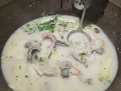 -鲜潭蒸汽石锅鱼(五道口购物中心店)
