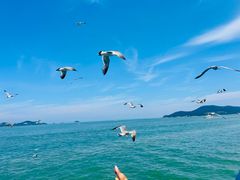 -刘公岛景区
