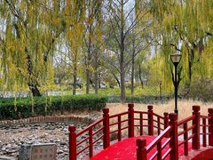 -玲珑塔公园