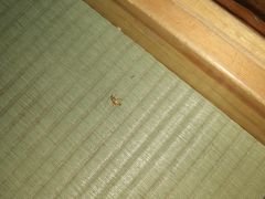 -乐汤汇温泉生活馆