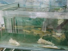 -鲁前海沿儿