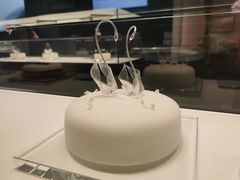 -BLACKSWAN黑天鹅(新希望店)