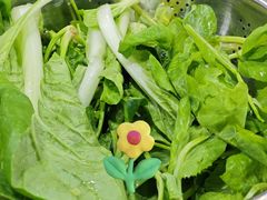 野菜-黔府豆米火锅野菜馆(南马店)