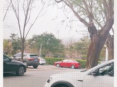 -燕郊植物园