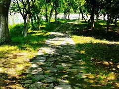 -梁鸿国家湿地公园