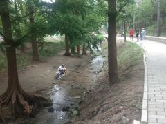 -白水寺森林公园