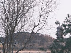 -永定河休闲森林公园