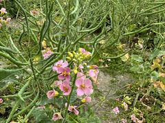 -中国天府农业博览园