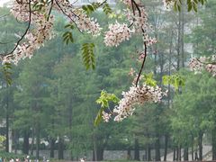 -四海公园(南山区)