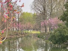 -梁鸿国家湿地公园