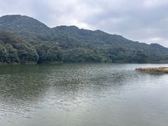 -广州市石门国家森林公园