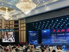 -圣爵菲斯大酒店(长沙世界之窗店)