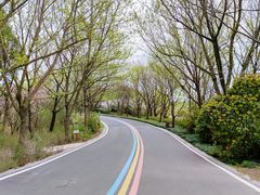 -同里国家湿地公园