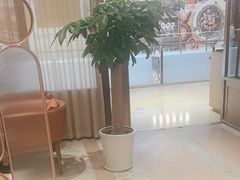 -新吉士·上海菜(浦东LCM置汇旭辉店)