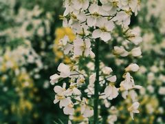 -中国天府农业博览园