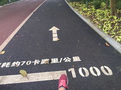 -南宁南湖公园