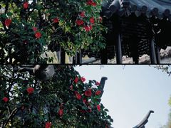 -留园