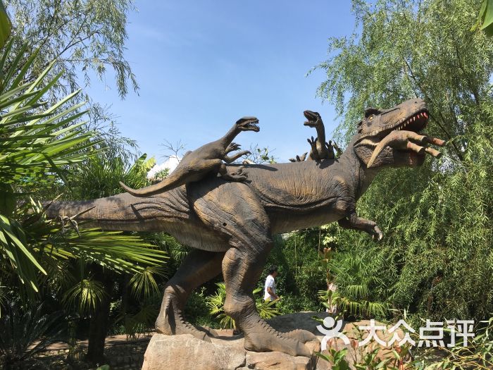 开心谷景区-图片-义乌周边游-大众点评网