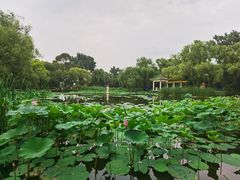-北陵公园