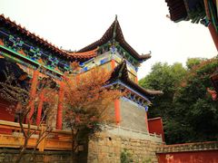 -皇藏峪国家森林公园