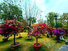 -赤坎·广东华侨国际旅游度假区