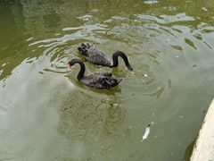 -南宫五洲植物乐园