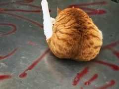 -1点点(中山门大街店)