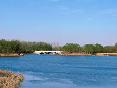 -马家湾湿地公园