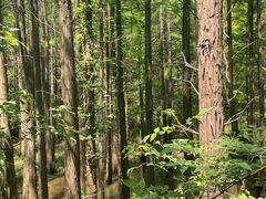 -青龙山国家森林公园