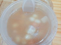 -海丝金凤(金鱼店)
