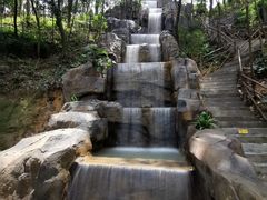 -广州市流溪河国家森林公园