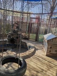 -萌宠亲子动物乐园(槐房万达店)