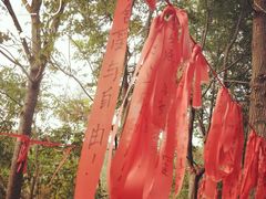 -洪泽湖古堰景区
