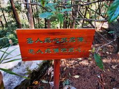 -寂照庵
