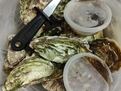 -爱蚝屋
