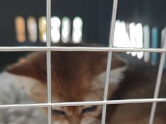 -联合动物医院(光谷诊疗中心)