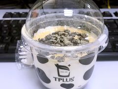 -TPLUS茶家(浦电路店)