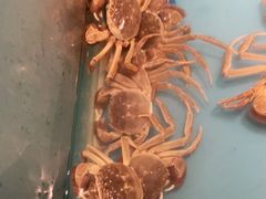 -星伦多 自助料理(圆融店)