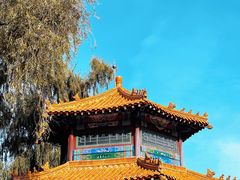 -北陵公园