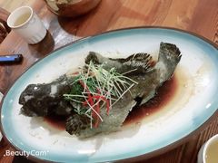 清蒸石斑鱼-海棠湾聚鼎香海鲜坊(海昌梦幻不夜城店)