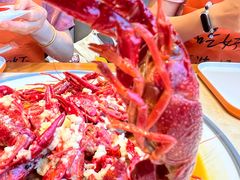 -杨氏青龙虾·羊蝎子(珠江路店)