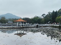 -红山村