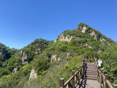 -大岭沟猕猴桃谷风景区