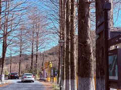 -东白山