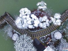 -四川农业大学(雅安校区)