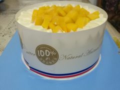 -维尔纳斯·生日蛋糕·动物奶油冰淇淋蛋糕(六里桥店)