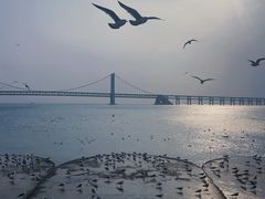 -星海广场