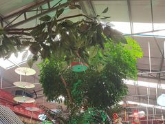 -和源祥·日照菜扛把子(万平口一店)