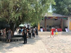 -白洋淀景区
