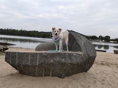 -上海月湖雕塑公园